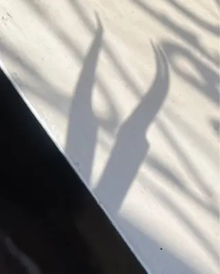 マツエク・マツパ 海外風まつげ眉毛 恵比寿｜masayoのマツエク・マツパデザイン