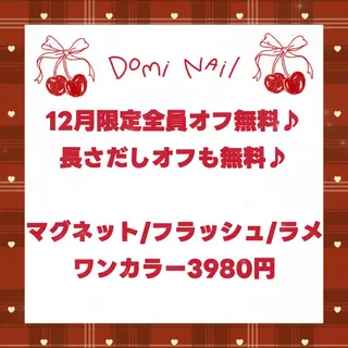 ネイル Domi Nail Salon所属・Domi Nail Salonのネイルデザイン