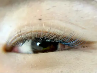 マツエク・マツパ Plume micoのマツエク・マツパデザイン