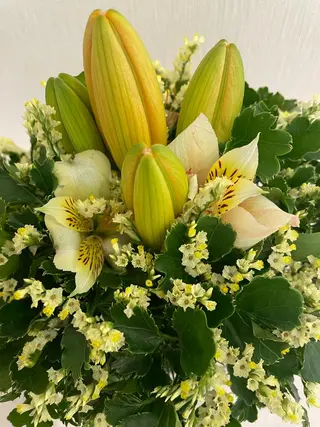 藤波 心のその他イメージ