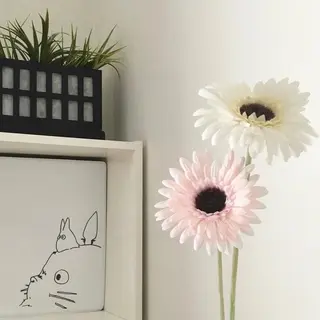 メンズ マツエク・マツパ アイブロウ Lash&brow PORTE269布施店所属・brace 竹田愛海のエステ・リラクイメージ