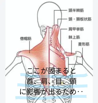 スパニスト 中川のヘアスタイル