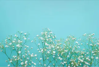 マツエク・マツパ やまもと あいらのマツエク・マツパデザイン