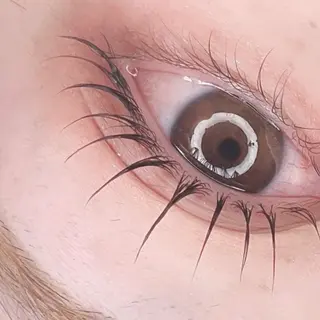 マツエク・マツパ パッチリ可愛いまつげ に✨moemiのマツエク・マツパデザイン