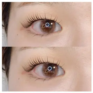 マツエク・マツパ Lotus所属・Lotus ロータスのマツエク・マツパデザイン