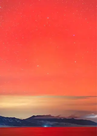 ネイルサロン ロア旧ジョリーのネイルデザイン