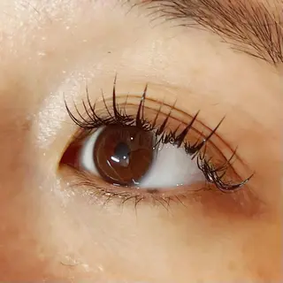 マツエク・マツパ Celeste Venus所属・🧸Celeste Venusのマツエク・マツパデザイン