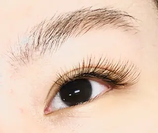 マツエク・マツパ Yasmin所属・耳つぼ𖦞大人まつげ 𖦞お仕事帰りにのマツエク・マツパデザイン
