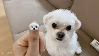 ネイル she's nailのネイルデザイン