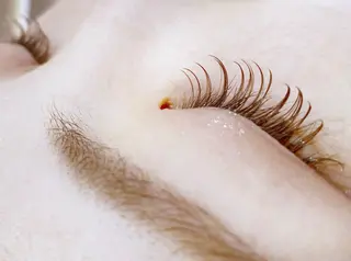 マツエク・マツパ トップアイリスト羽名 武蔵小杉のマツエク・マツパデザイン