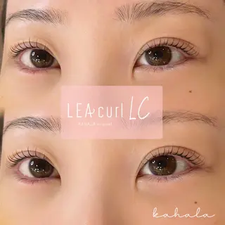 マツエク・マツパ Fujimoto 🦭⸝⋆꙳のマツエク・マツパデザイン