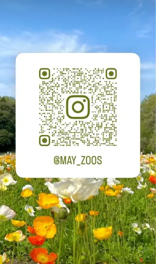 🌺トレンド暖色へア 🌺/Mayaのヘアスタイル