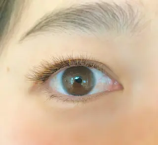 マツエク・マツパ えんとゆかり　千歳船橋所属・AYANO &　YUKAのマツエク・マツパデザイン