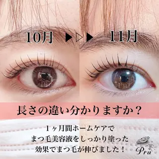 マツエク・マツパ プル eyelashのマツエク・マツパデザイン