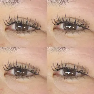 ใใใจใฏใปใใใ ๐๐ผ๐๐๐ ๐๐ธ๐โใฎใใใจใฏใปใใใใใถใคใณ