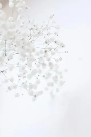 メンズ マツエク・マツパ アイブロウ Lash&brow PORTE269布施店所属・brace 竹田愛海のエステ・リラクイメージ