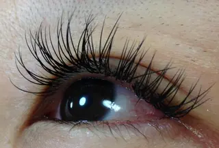 マツエク・マツパ アネラ 北本店のマツエク・マツパデザイン