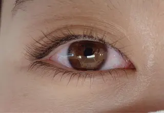 マツエク・マツパ elua eyelash所属・elua eyelashのマツエク・マツパデザイン