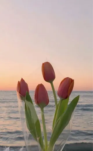 リスブラン小伝馬町 AKARIのマツエク・マツパデザイン