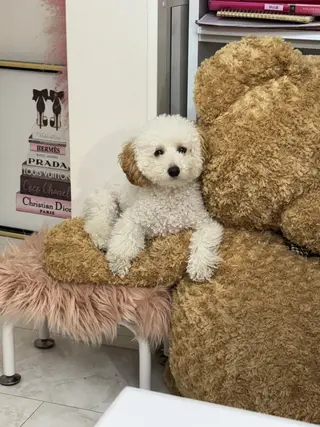 ネイル ERINA ♥のネイルデザイン