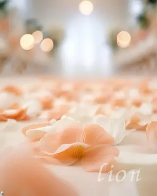 パーソナルカラー骨格顔タイプサロン/lion所属・パーソナルカラー lionのその他イメージ