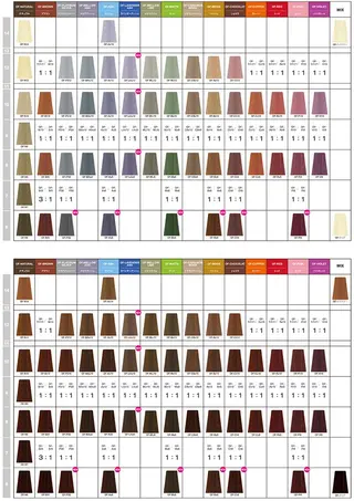 カラー エレガンス 六甲店のヘアスタイル