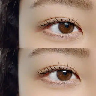 マツエク・マツパ 垢抜け眉WAX専門 ちゅるんまつげ|鎌倉の眉毛・アイブロウイメージ