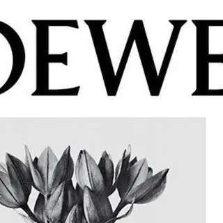 IwAsh  大和駅店所属・shiho .のヘアスタイル