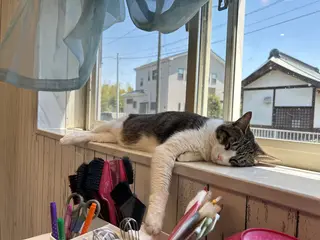 Rika _のネイルデザイン