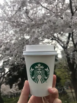 ミディアム カラー パーマ ヘアアレンジ メンズ キッズ ネイル マツエク・マツパ アイブロウ アニメ,Vオタク× 即効痩せエステサロンのエステ・リラクイメージ