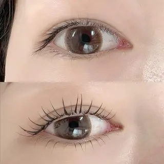 マツエク・マツパ 【那覇/束感まつ毛】 ｷｬﾒﾙのマツエク・マツパデザイン