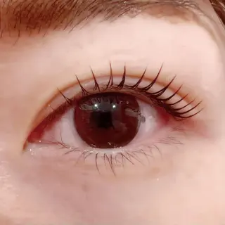 マツエク・マツパ Celeste Venus所属・🧸Celeste Venusのマツエク・マツパデザイン