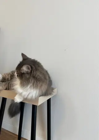 ネイル cie/42° NIJINAのネイルデザイン