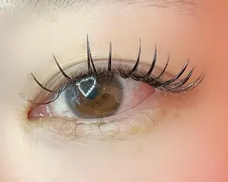 マツエク・マツパ Celeste Venus所属・🧸Celeste Venusのマツエク・マツパデザイン