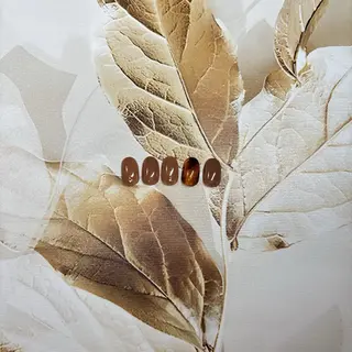 ネイル miwa .のネイルデザイン