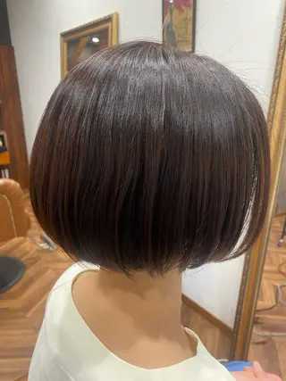 ショート カラー gatto  nero所属・【似合わせカット 】🦋岩崎 美保🐾のヘアスタイル