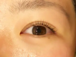 マツエク・マツパ 【Refine】 磯部のマツエク・マツパデザイン