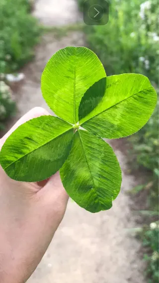 フェイシャルサロン ビアンカガーデンのエステ・リラクイメージ