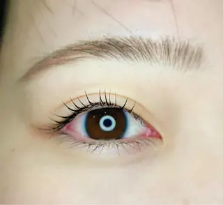 マツエク・マツパ Vif【ヴィフ】所属・【 Vif 】 SHIORIのマツエク・マツパデザイン