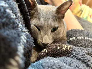 ショート カラー パーマ ヘアアレンジ メンズ キッズ ネイル マツエク・マツパ アイブロウ アニメ,Vオタク× 即効痩せエステサロンのエステ・リラクイメージ