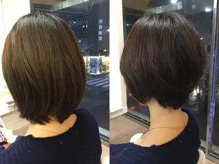 ショート カラー 手櫛でストレート/ 人生を変える美髪へのヘアスタイル