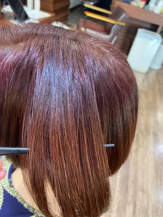 ショート tocolaso所属・渡邊 心優のヘアスタイル