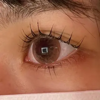 マツエク・マツパ Celeste Venus所属・🧸Celeste Venusのマツエク・マツパデザイン