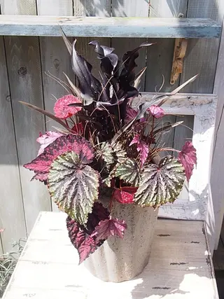 Fes Bonito❤所属・kawano shieriのエステ・リラクイメージ