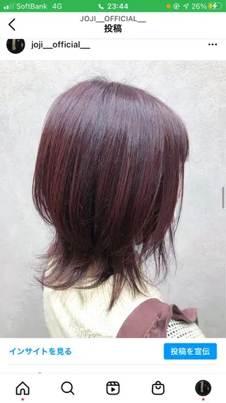 ミディアム ハイトーン/ワンカラ /レイヤー/ウルフのヘアスタイル