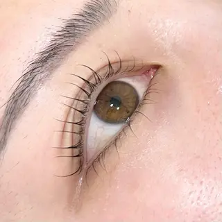 マツエク・マツパ cache 【カシェ】所属・cache / SAKIの眉毛・アイブロウイメージ