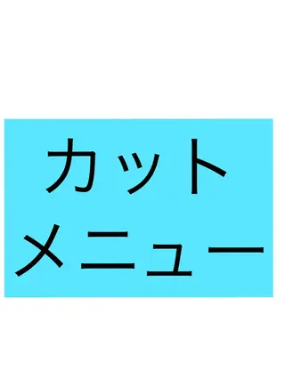 サンテヴィスタ　本八幡店所属・中根　いち 美髪を作るプロのヘアスタイル