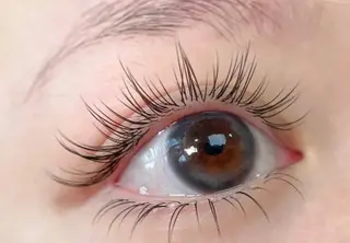 マツエク・マツパ Eyelist Ayumi🦋のマツエク・マツパデザイン