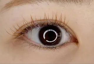 マツエク・マツパ Ai Quick 北千住🌿saitoの眉毛・アイブロウイメージ