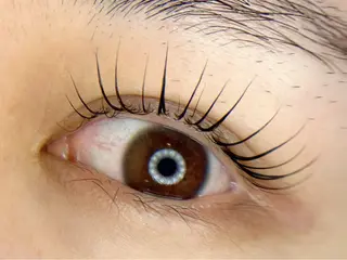 マツエク・マツパ tomte トムテのマツエク・マツパデザイン